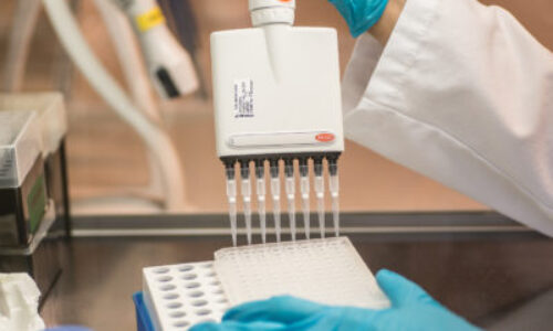 The Importance of Scale in Evaluating the Gut Microbiome